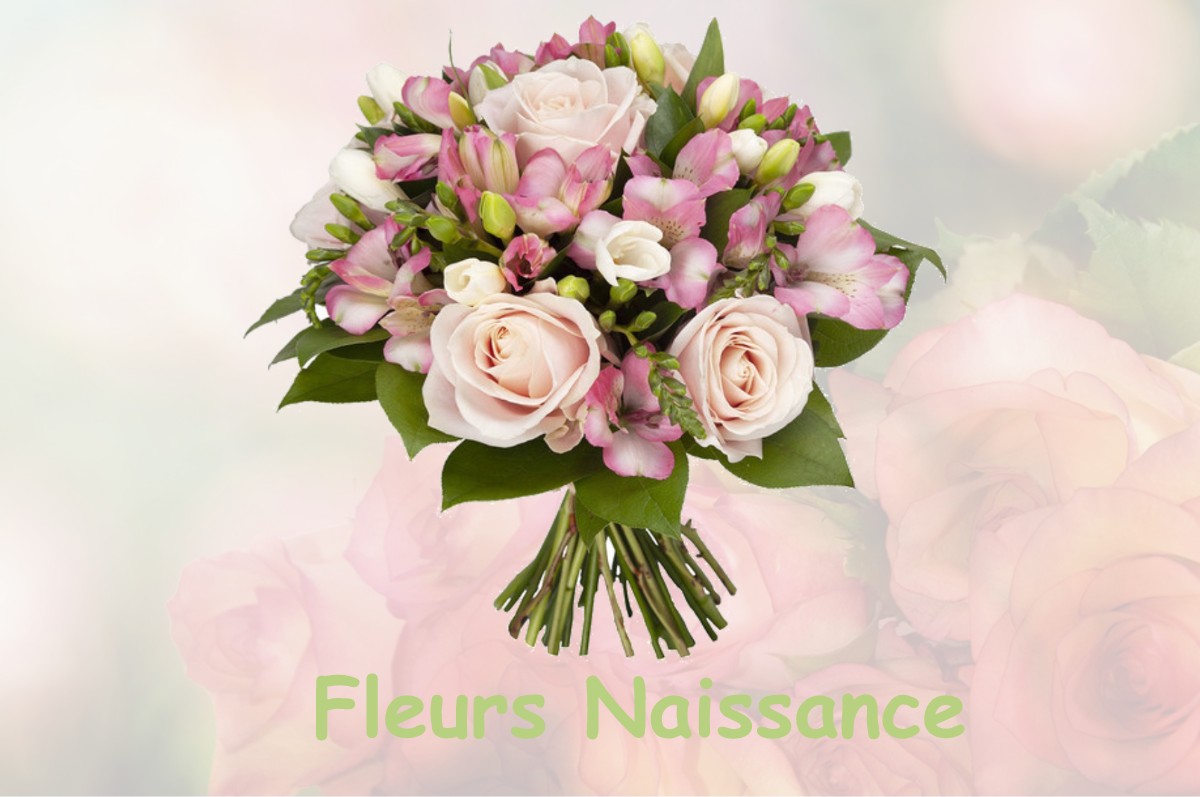 fleurs naissance RAZAC-DE-SAUSSIGNAC